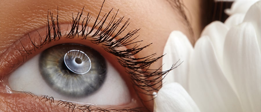 Questions to Ask Before Choosing a Clinic